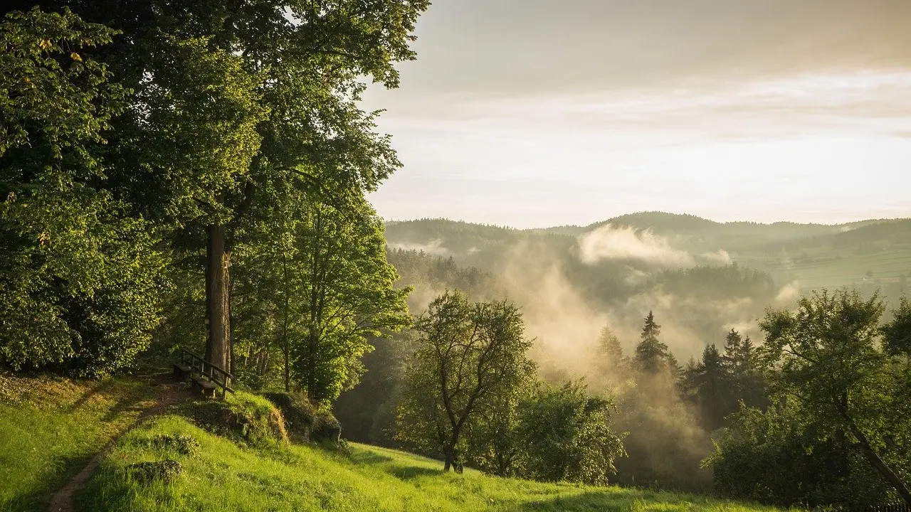how to use the rule of thirds
