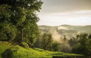 how to use the rule of thirds