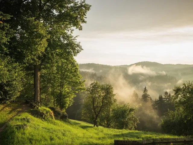 How To Use The Rule Of Thirds: Simple Composition Tips To Improve Your Photos Today